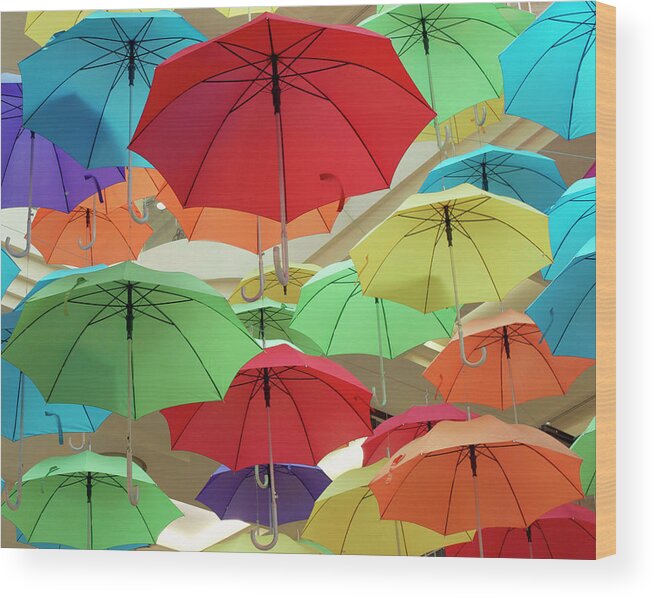 Hanging Wood Print featuring the photograph Colourful Umbrellas by Sharon Lapkin