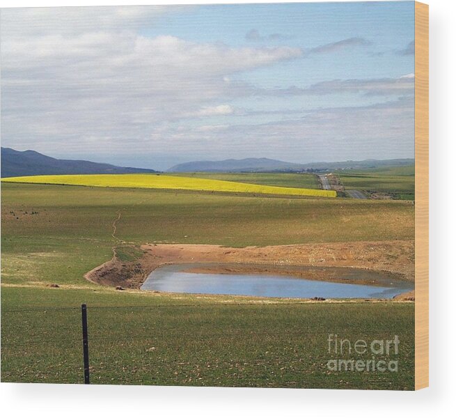 Canola Wood Print featuring the photograph Colours by Marietjie Du Toit