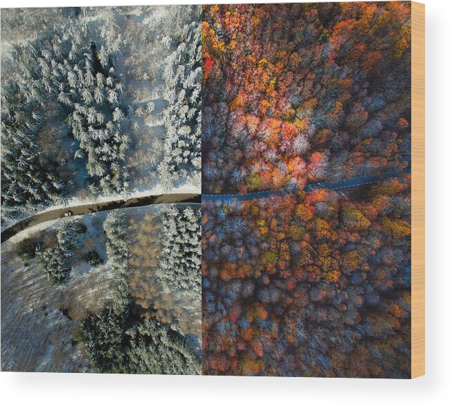 Orange Color Wood Print featuring the photograph Comparison picture taken from drone with half autumn and half winter landscape. by Artur Debat