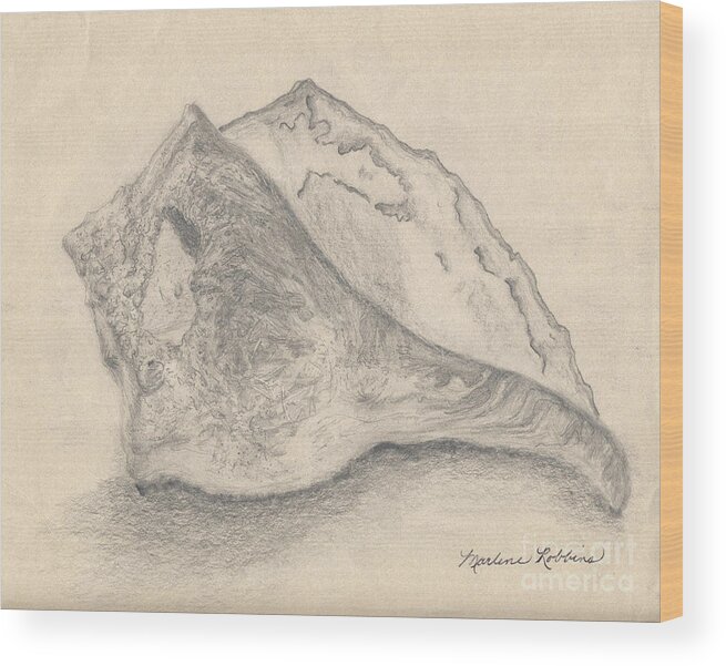 Seashell Wood Print featuring the drawing Conch Shell by Marlene Robbins