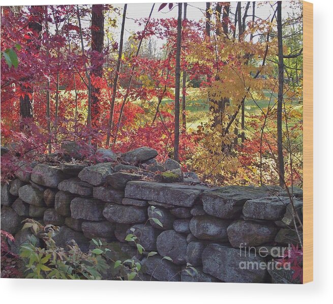 Landscape Wood Print featuring the photograph Connecticut Stone Walls by Michelle Welles