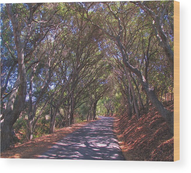 Road Wood Print featuring the photograph Country Lane by Derek Dean