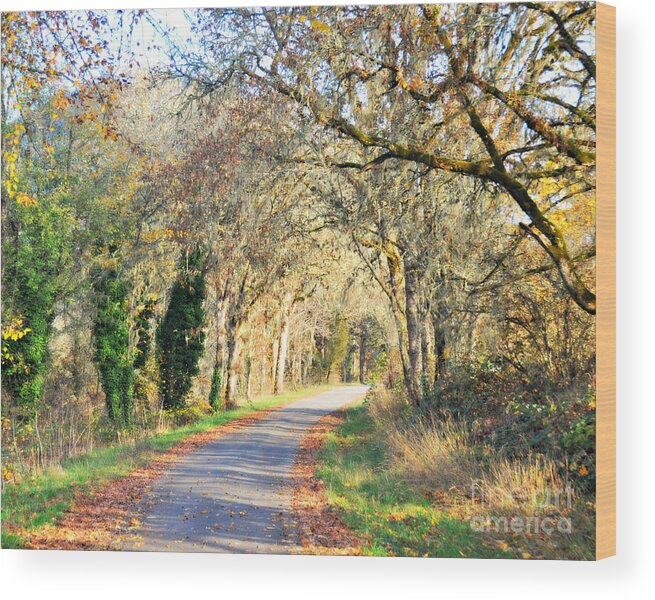 Landscape Wood Print featuring the photograph Country Road by Mindy Bench