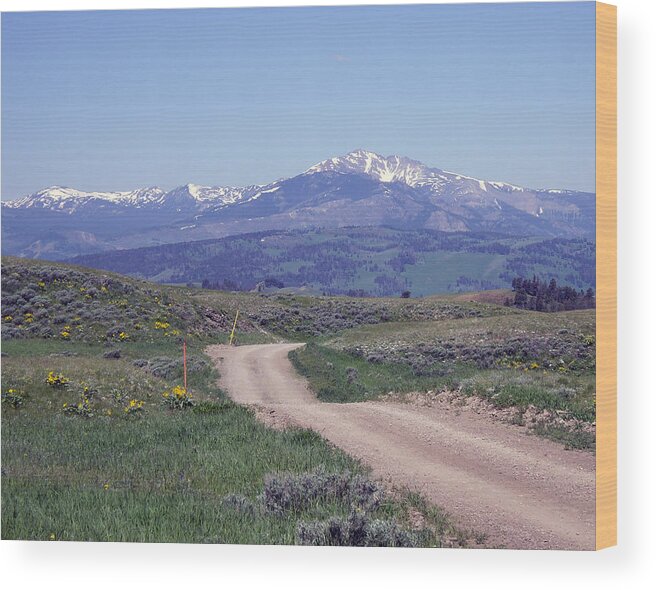 Rocky Mountains Wood Print featuring the photograph Country Roads by Barb Dalton