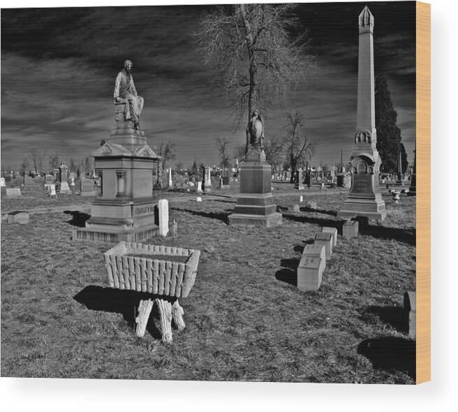 Riverside Cemetery Wood Print featuring the photograph Cradle of Life by Stephen Johnson