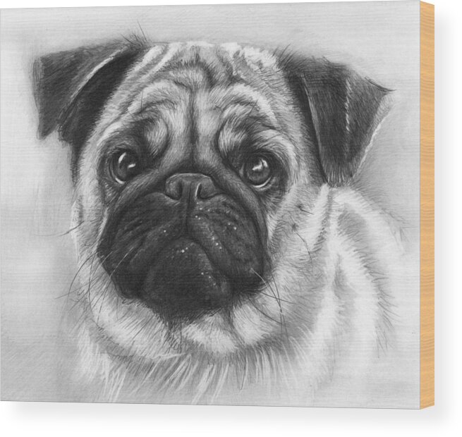 Dog Wood Print featuring the drawing Cute Pug by Olga Shvartsur
