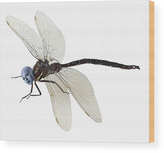 Surreal Wood Print featuring the photograph Damselfly by Jim Painter
