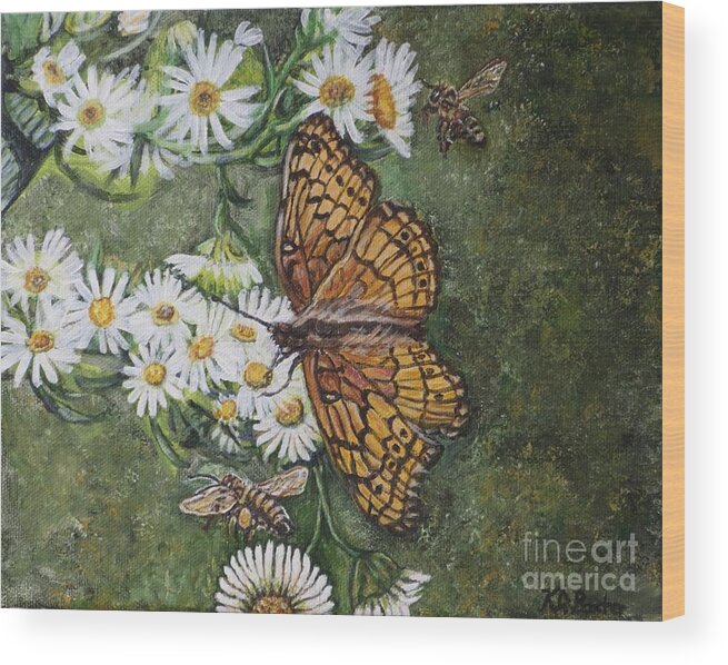 Nature Butterfly With Message Of Hope And Cooperation Variegated Fritillary Euptooieta Claudia Brush-footed Butterfly Nymphalidae Longwing Heliconiinae Copper Orange Black Brown Tan Camouflage Mimicry Mimesis Underside Resembles A Dead Leaf Honeybees Beneficial Insects Pollinators Daisies Gold Yellow White Green Variegated Background Wood Print featuring the painting Dance with the Daisies by Kimberlee Baxter