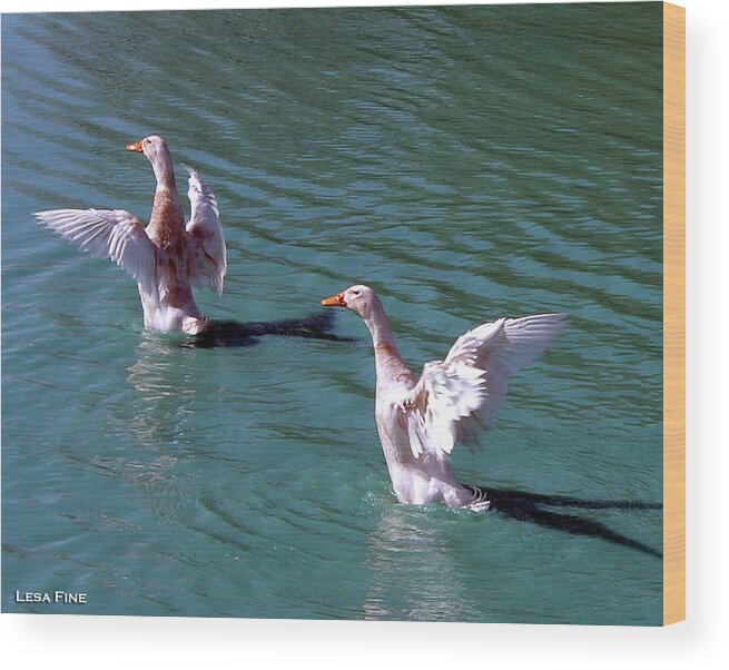 Geese Wood Print featuring the photograph Dances on Water by Lesa Fine