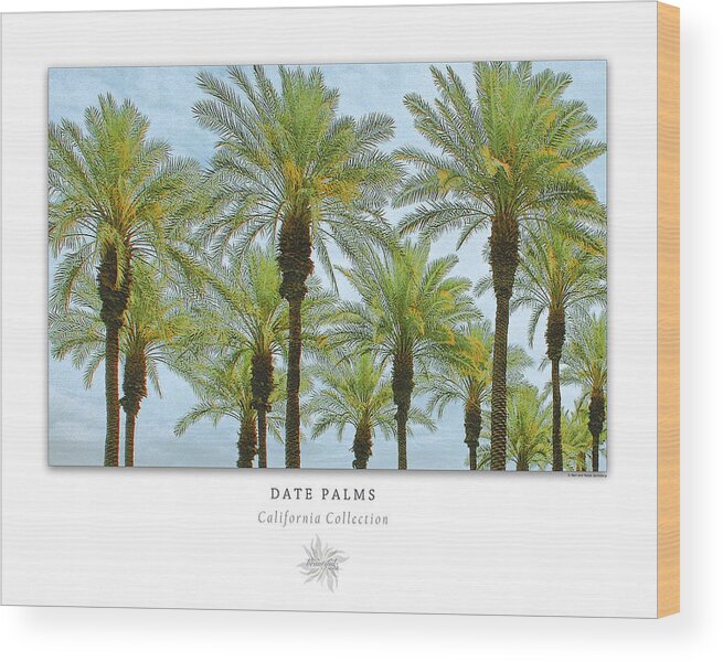 Palm Wood Print featuring the photograph Date Palms Art Poster - California Collection by Ben and Raisa Gertsberg