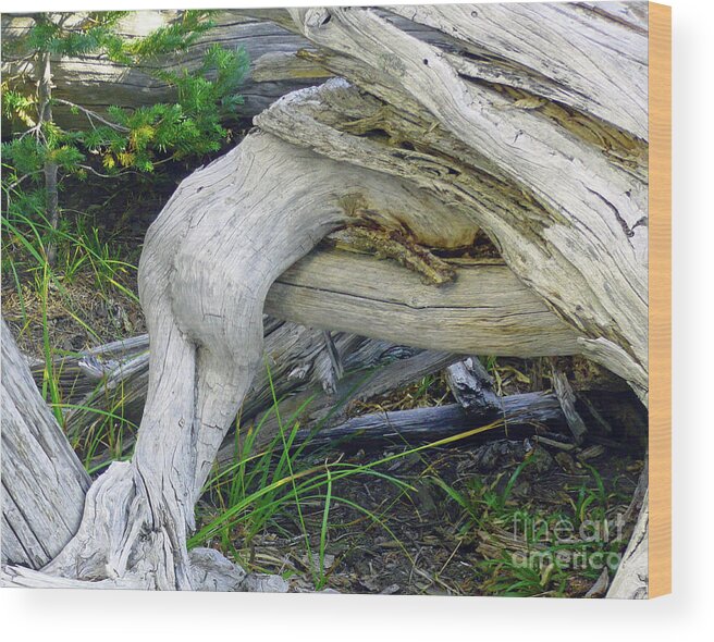 Abstract Wood Print featuring the photograph Devoured by Lauren Leigh Hunter Fine Art Photography