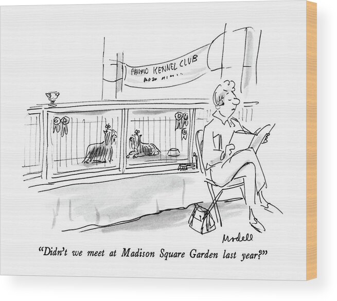 

 One Terrier To Another In Cages At A Dog Show. 
Dogs Wood Print featuring the drawing Didn't We Meet At Madison Square Garden Last Year? by Frank Modell