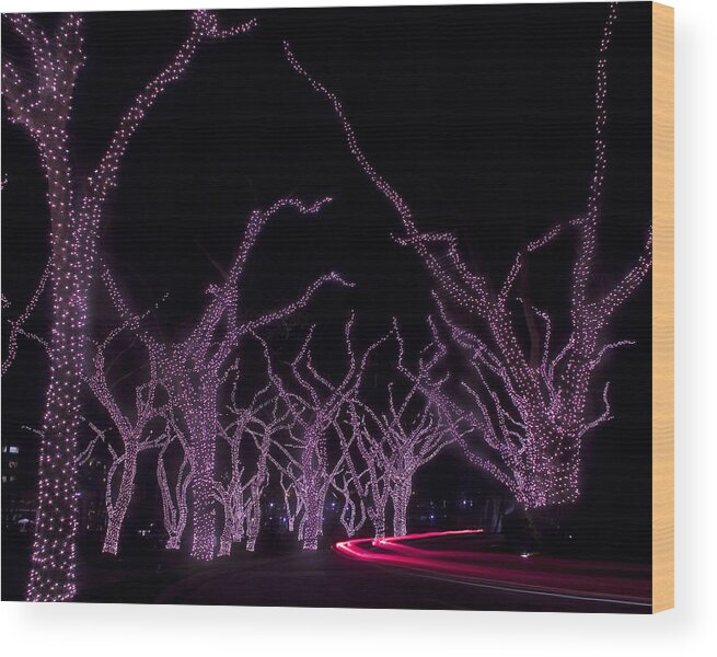 Lighted Trees Wood Print featuring the photograph Disco Trees by Jim Snyder