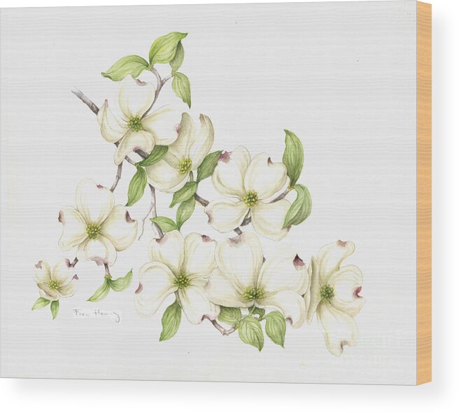 Botanical Art Wood Print featuring the painting Dogwood in Spring by Fran Henig