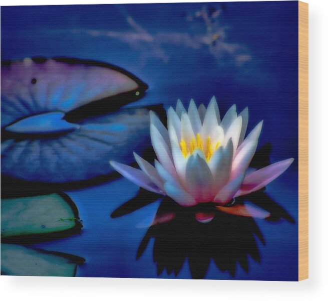 Water Wood Print featuring the photograph Dreaming of a Waterlily by Lynne Jenkins