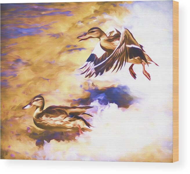 Mallard Wood Print featuring the mixed media Ducks Landing by Priya Ghose