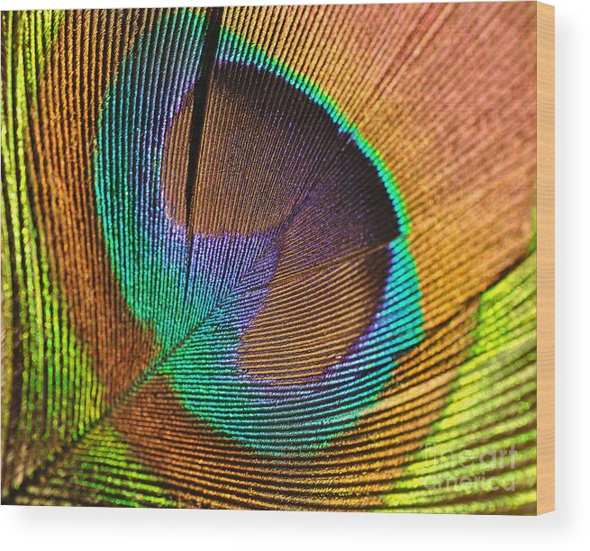 Eye Of The Peacock Wood Print featuring the photograph Eye of the Peacock by Kaye Menner