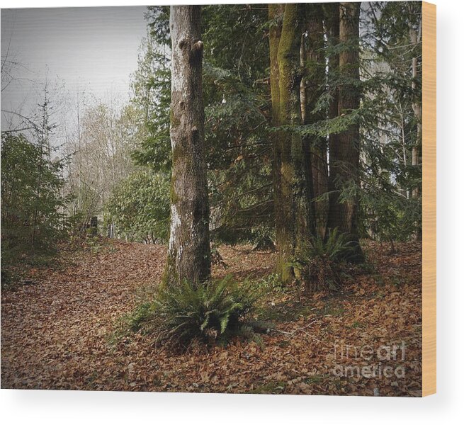 Fall Wood Print featuring the photograph Fall in the Forest by Patricia Strand