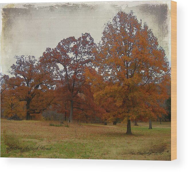 Fall Wood Print featuring the photograph Fall On Antioch Road by Lee Owenby