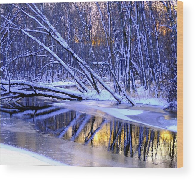 Snow Wood Print featuring the photograph Falling by Terri Gostola
