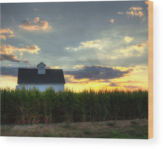 Farm Wood Print featuring the photograph Farm-scape by Coby Cooper