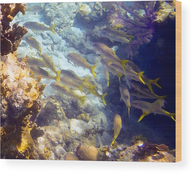 Catamaran Wood Print featuring the photograph Underwater No. 9 by Kathryn McBride