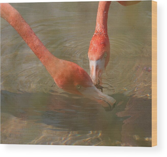 Flamingo Wood Print featuring the photograph A Pair of Flamingoes by Valerie Collins