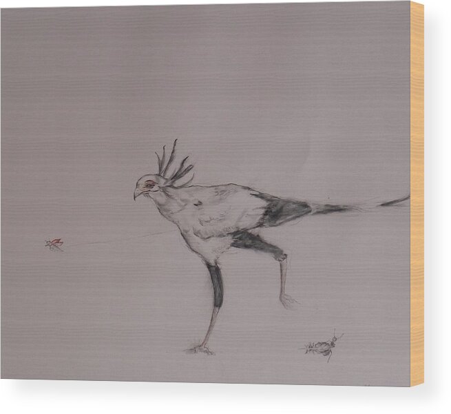 Bird Wood Print featuring the painting Fly By by Ilona Petzer
