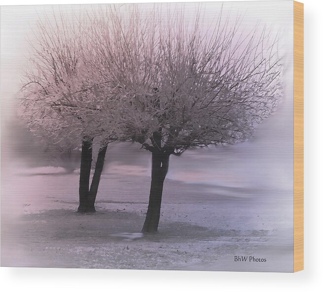 Landscape Wood Print featuring the photograph Foggy winter trees by Bonnie Willis
