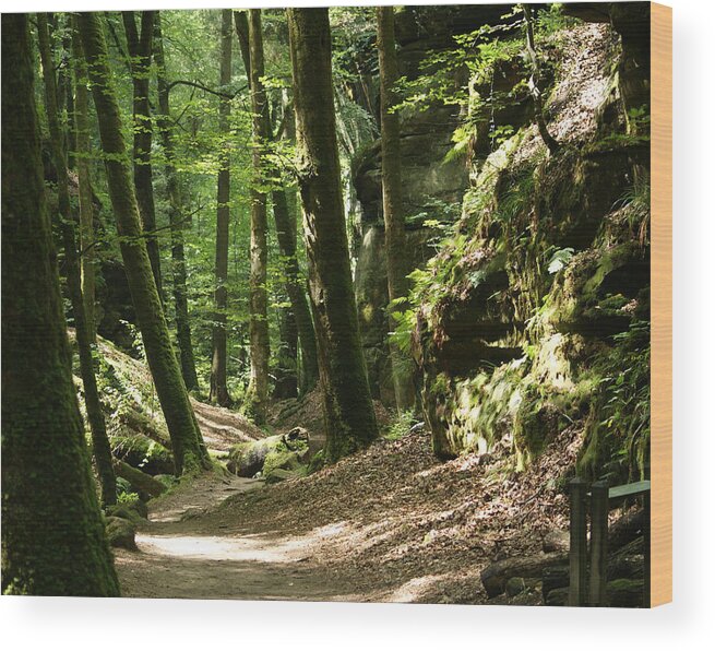 Luxemburg Forest Wood Print featuring the photograph Forest by Jolly Van der Velden