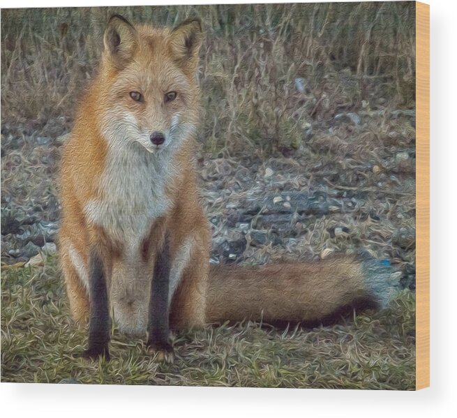 Fox Wood Print featuring the photograph Fox In Oil by Cathy Kovarik