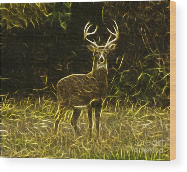 Fractalius 8 Point Buck Wood Print featuring the photograph Fractalius 8 Point Buck by Jim Lepard