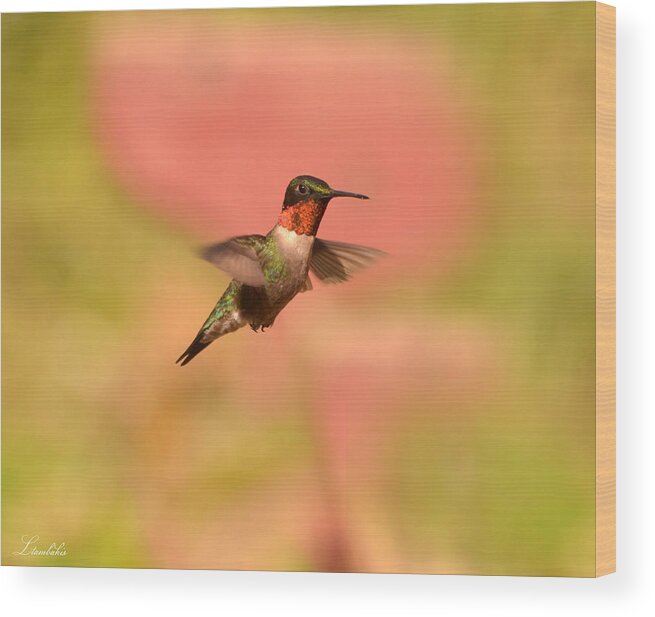 Hummingbird Wood Print featuring the photograph Free As A Bird by Lori Tambakis