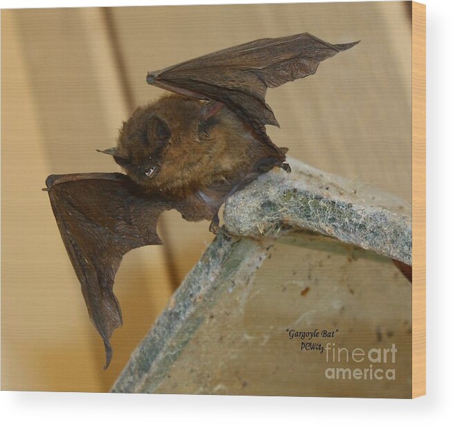 Gargoyle Bat Wood Print featuring the photograph Gargoyle Bat by Patrick Witz