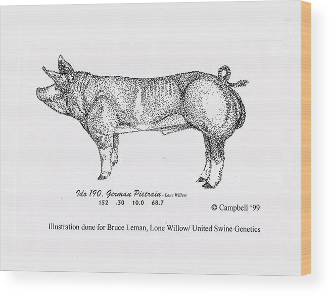 German Wood Print featuring the pyrography German Pietrain Boar by Larry Campbell