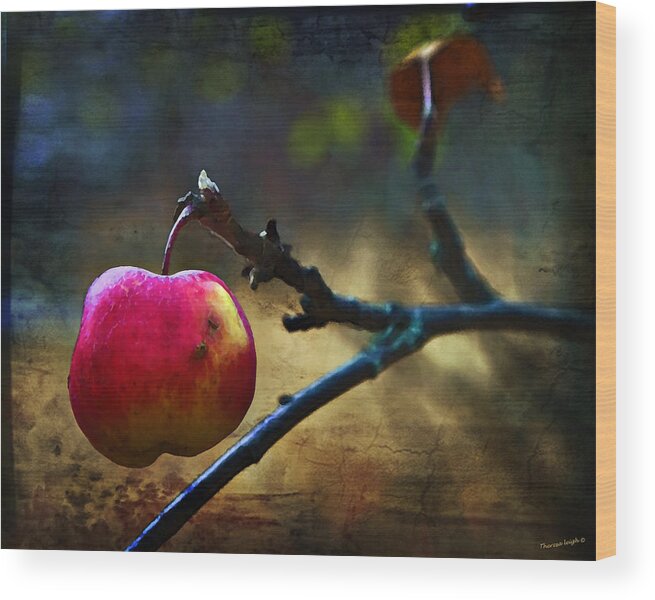 Apple Wood Print featuring the photograph Go On Dearie Take A Bite by Theresa Tahara
