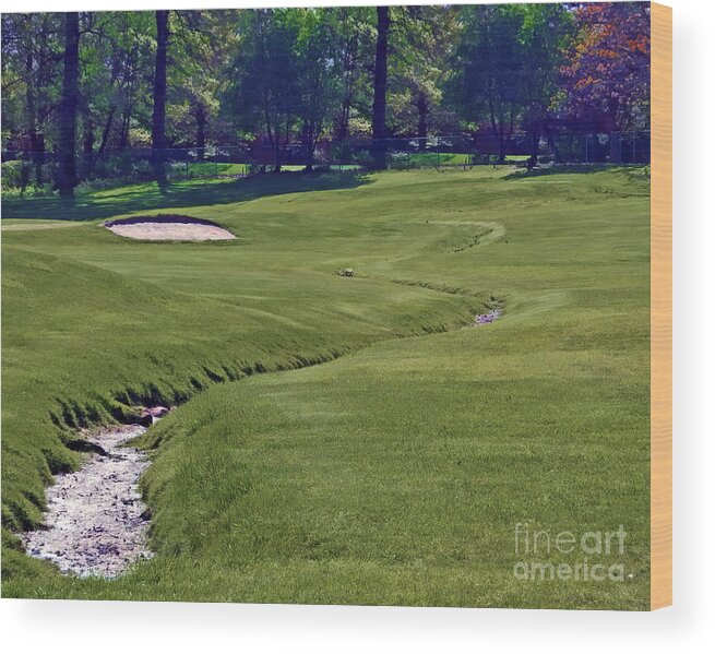 Golf Wood Print featuring the photograph Golf Hazards by Dawn Gari