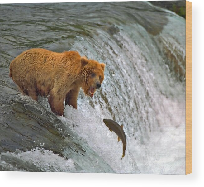 Brown Bear Wood Print featuring the photograph Gone Fishin by Bill Singleton