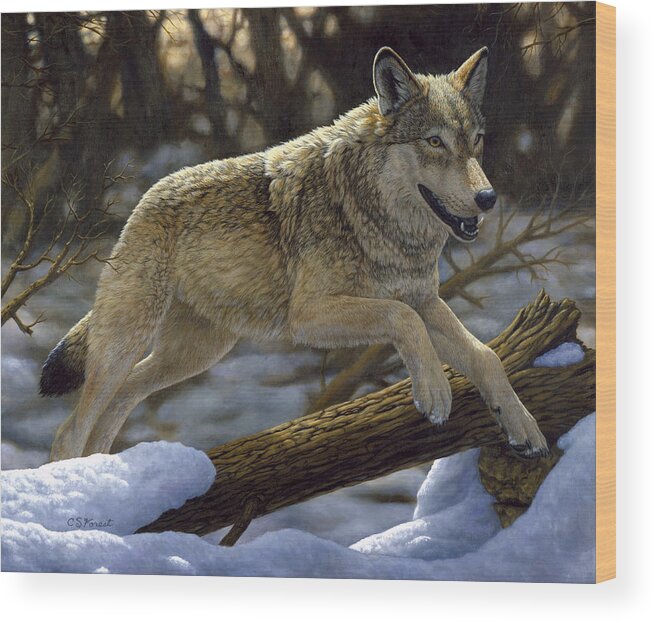 Wolf Wood Print featuring the painting Gray Wolf - Just for Fun by Crista Forest