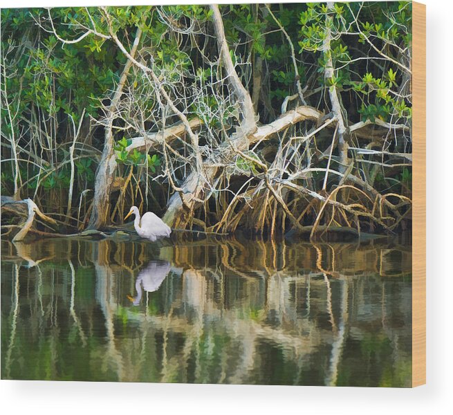 White Egret Bird Wood Print featuring the photograph Great White Egret and Reflection in Swamp Mangroves by Ginger Wakem