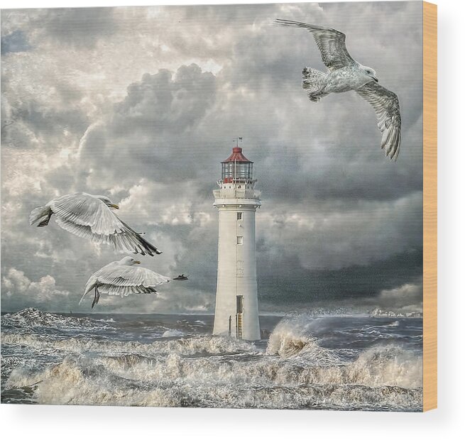 Lighthouse Wood Print featuring the photograph Gulls at Perch Rock by Brian Tarr