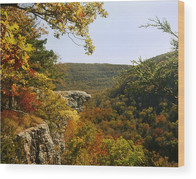 Scenic Wood Print featuring the photograph Hawksbill Cragg by Robert Camp