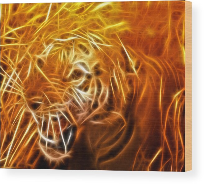 Tiger Wood Print featuring the photograph Here Kitty Kitty by Bill Barber