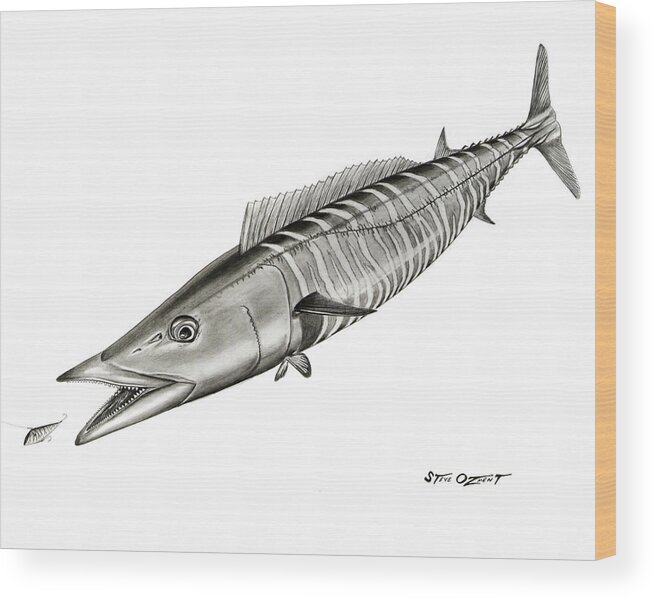 Wahoo Wood Print featuring the drawing High Speed Wahoo by Steve Ozment