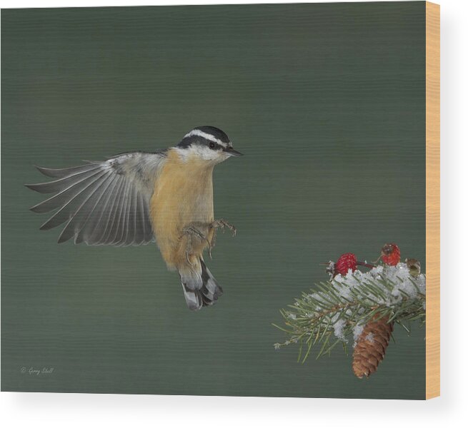 Nature Wood Print featuring the photograph Hip Hip Hooray by Gerry Sibell