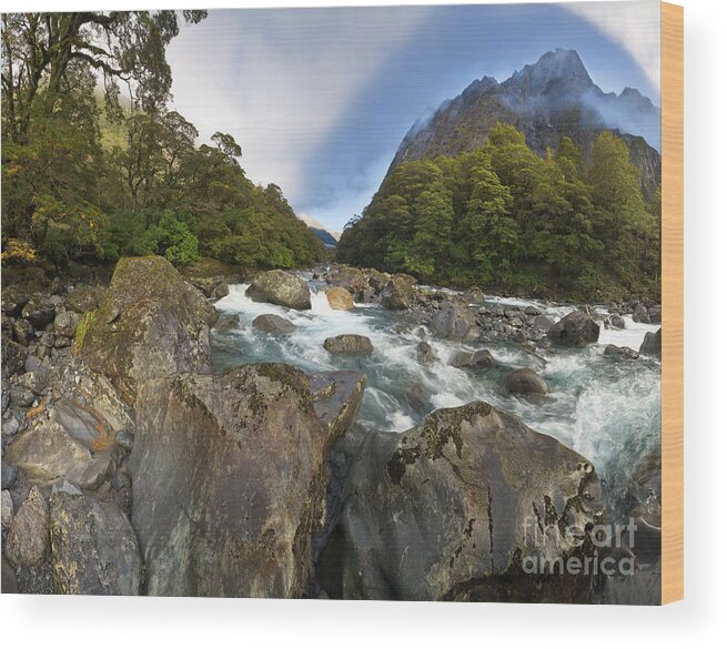 00463431 Wood Print featuring the photograph Hollyford River Fjordland NP by Yva Momatiuk John Eastcott