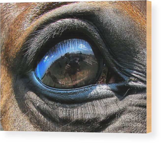 Eye Wood Print featuring the photograph Horse eye by Daliana Pacuraru