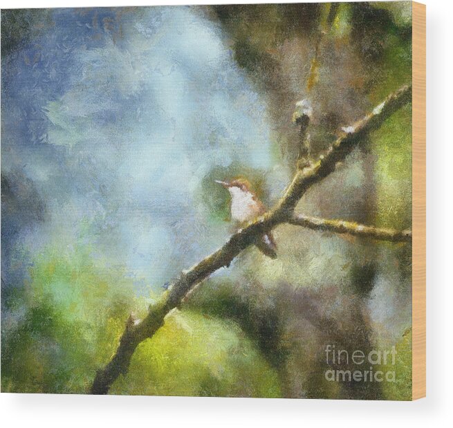 Hummingbird Wood Print featuring the photograph Hummingbird by Kerri Farley