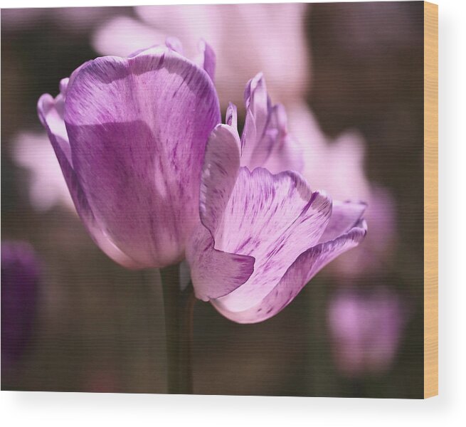 Tulips Wood Print featuring the photograph Inseparable by Rona Black