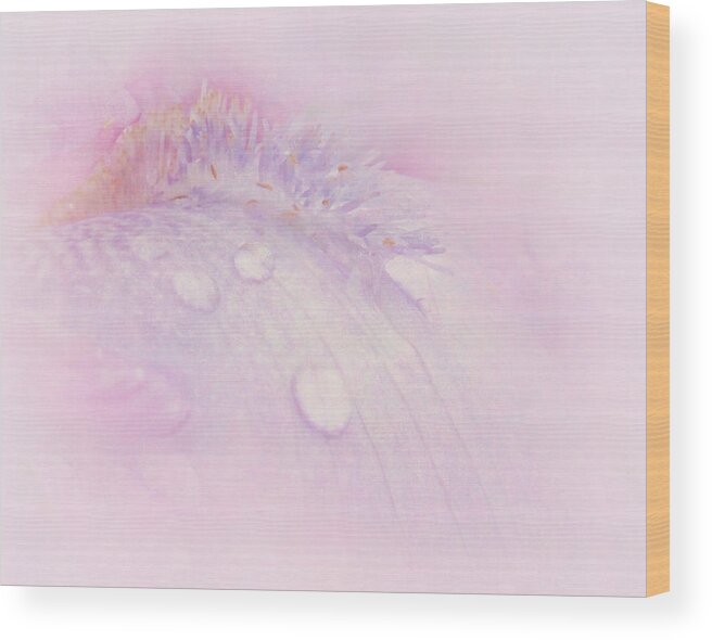 Abstract Wood Print featuring the photograph Iris Soul by David and Carol Kelly
